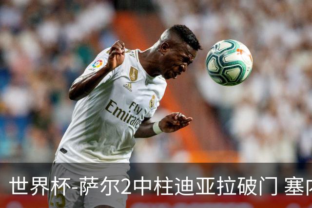 世界杯-萨尔2中柱迪亚拉破门 塞内加尔半场暂1-0比利时