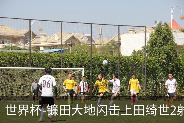 世界杯-镰田大地闪击上田绮世2射1传 日本4-0送突尼斯出局