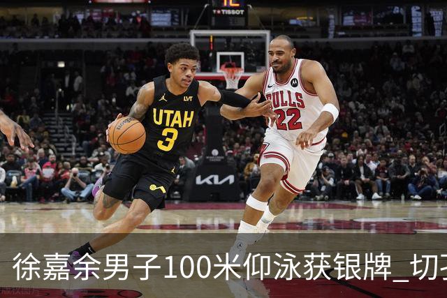 徐嘉余男子100米仰泳获银牌 切孔夺金
